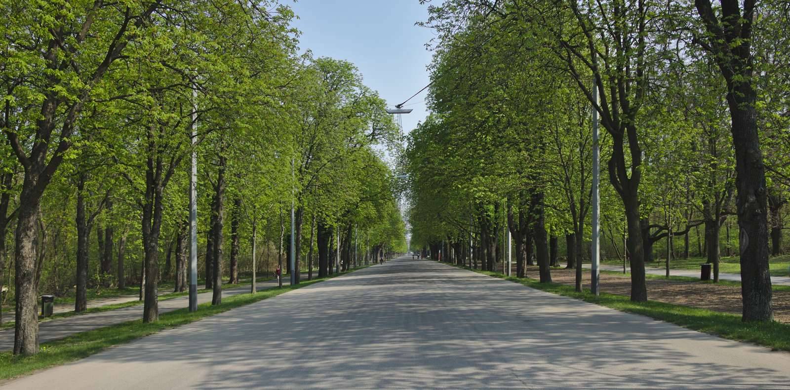 Cottbus - Wien - Schwerin: Streifzug durch eine „Profi-Welt“