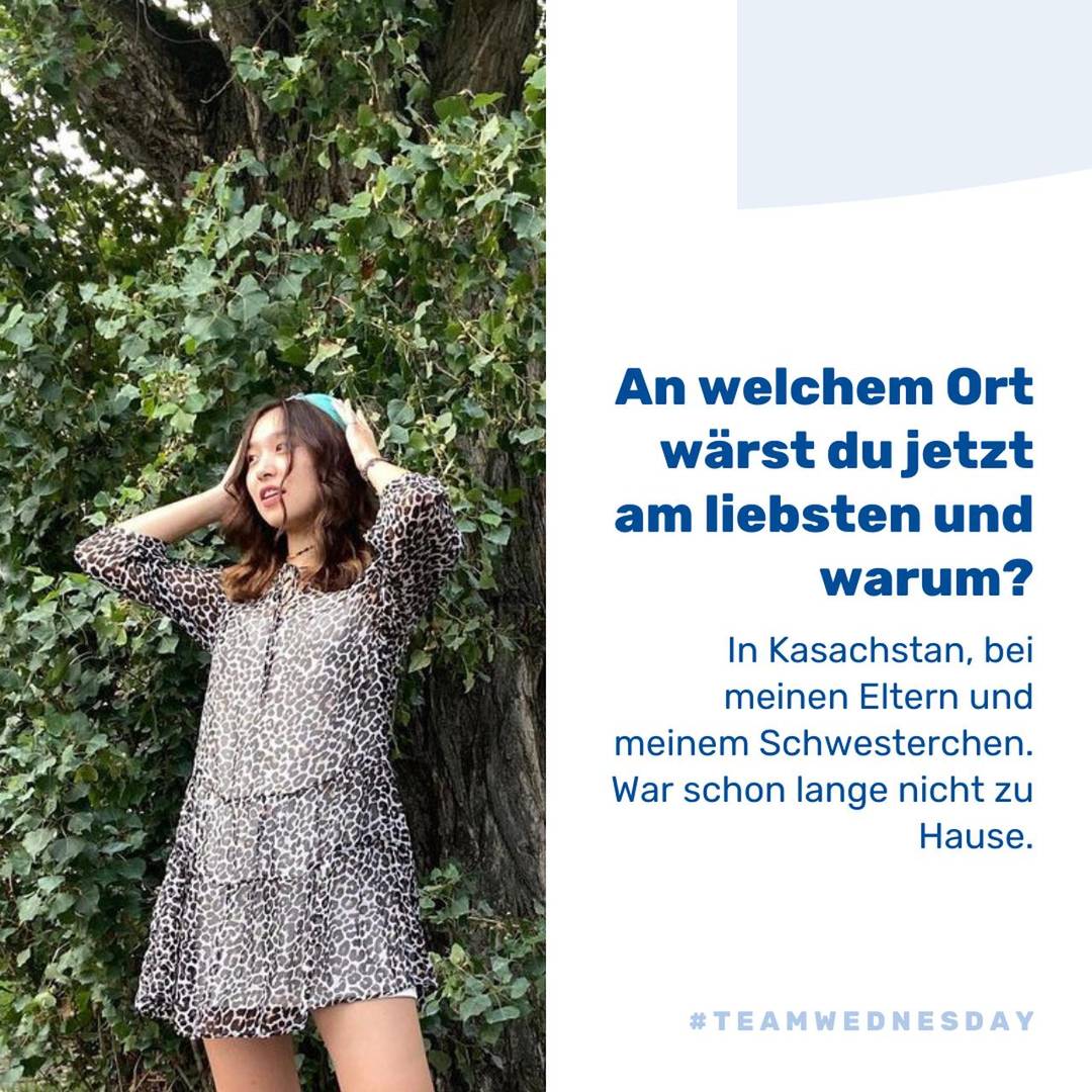 Die Stickerstars stellen sich vor: Slide 1