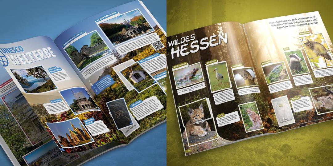 aus dem Sammelalbum "Hessen klebt"