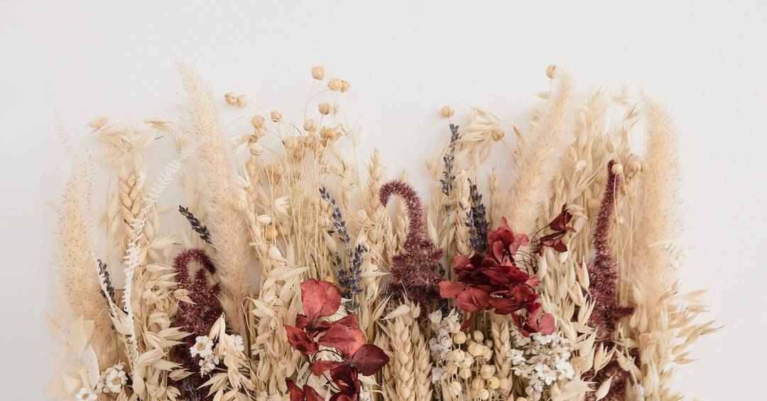 Hochzeitskosten sparen: Die richtigen Blumen sind wichtig!