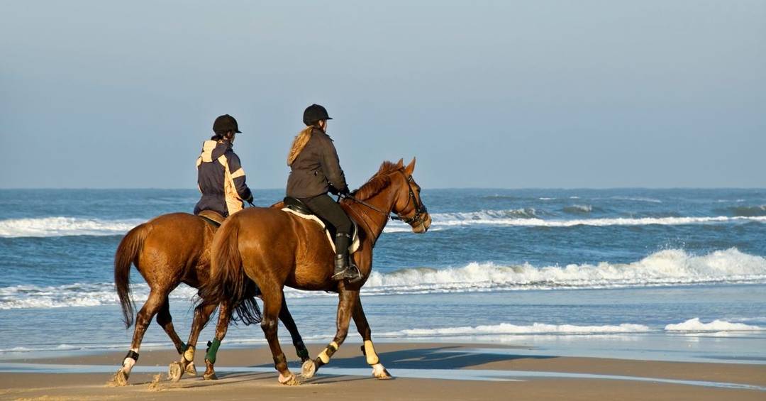 gruppenevent ideen ausritt