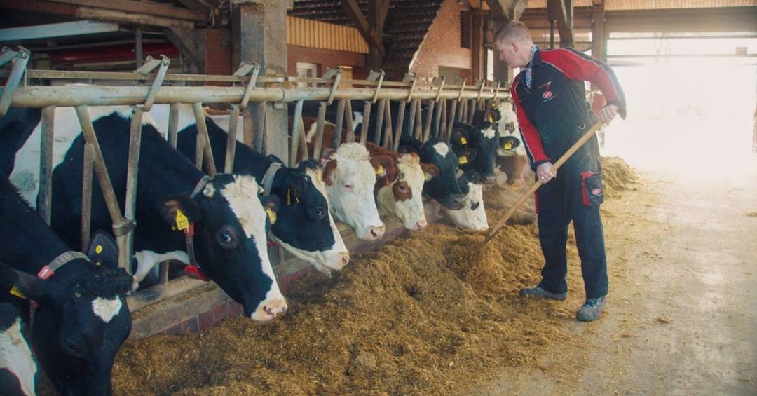 Fleißige Sammler:innen können einen Urlaub auf dem Bauernhof gewinnen.